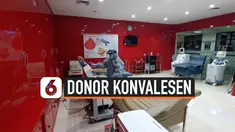 donor konvalesen