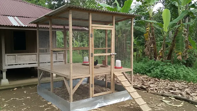Kandang Ayam dengan Kawat Ram Ukuran Kecil