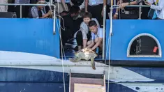 Para sukarelawan melepaskan penyu ke laut di Wilayah Lingshui, Provinsi Hainan, China selatan, pada 9 Agustus 2020. Sebanyak 99 ekor penyu, baik yang terdampar maupun hasil sitaan oleh penegak hukum, dilepaskan kembali ke laut pada Minggu (9/8). (Xinhua/Zhang Liyun)