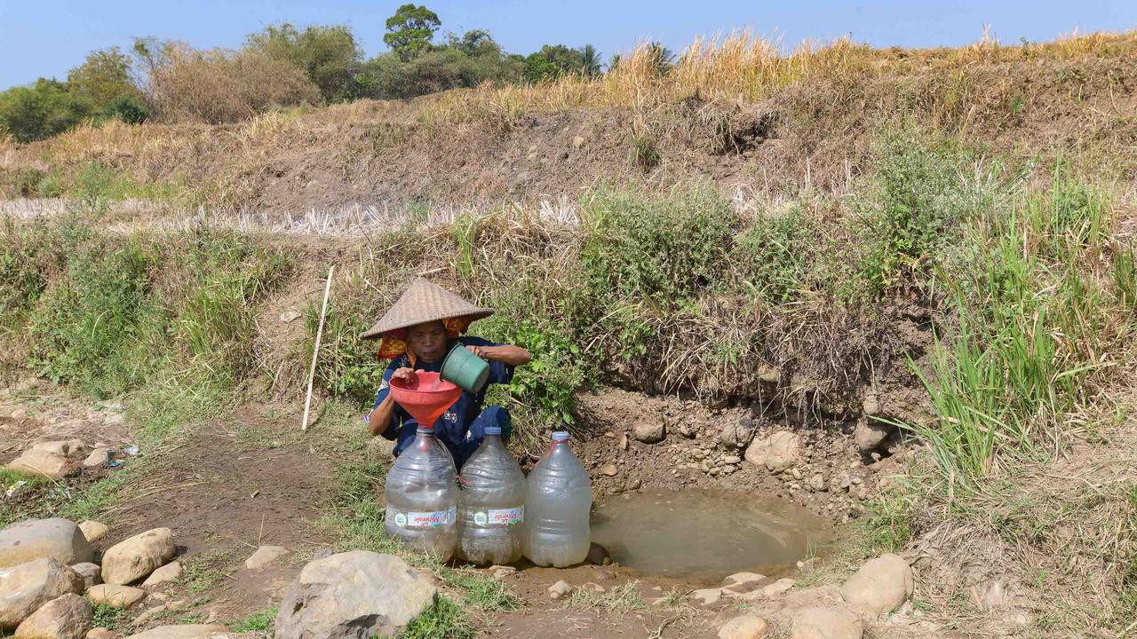Warga Bertahan dari Kubangan Bekas Sawah di Tengah Kekeringan