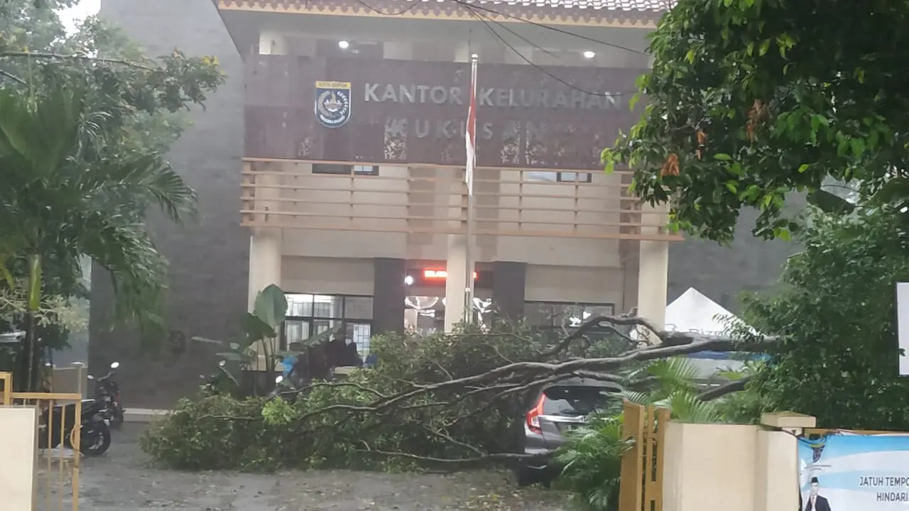Pohon tumbang yang menimpa sebuah mobil di Depok