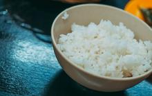 Kenapa Orang Indonesia Sangat Suka dengan Nasi? Ternyata Ini Sejarah Panjangnya