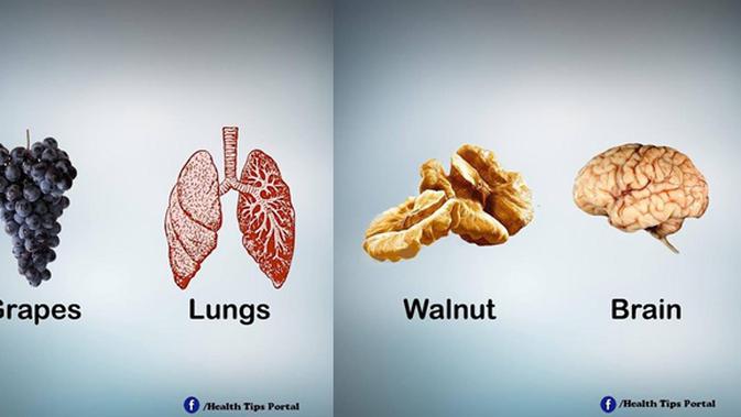 Sayur & Buah yang Bentuknya Mirip Organ Tubuh ...