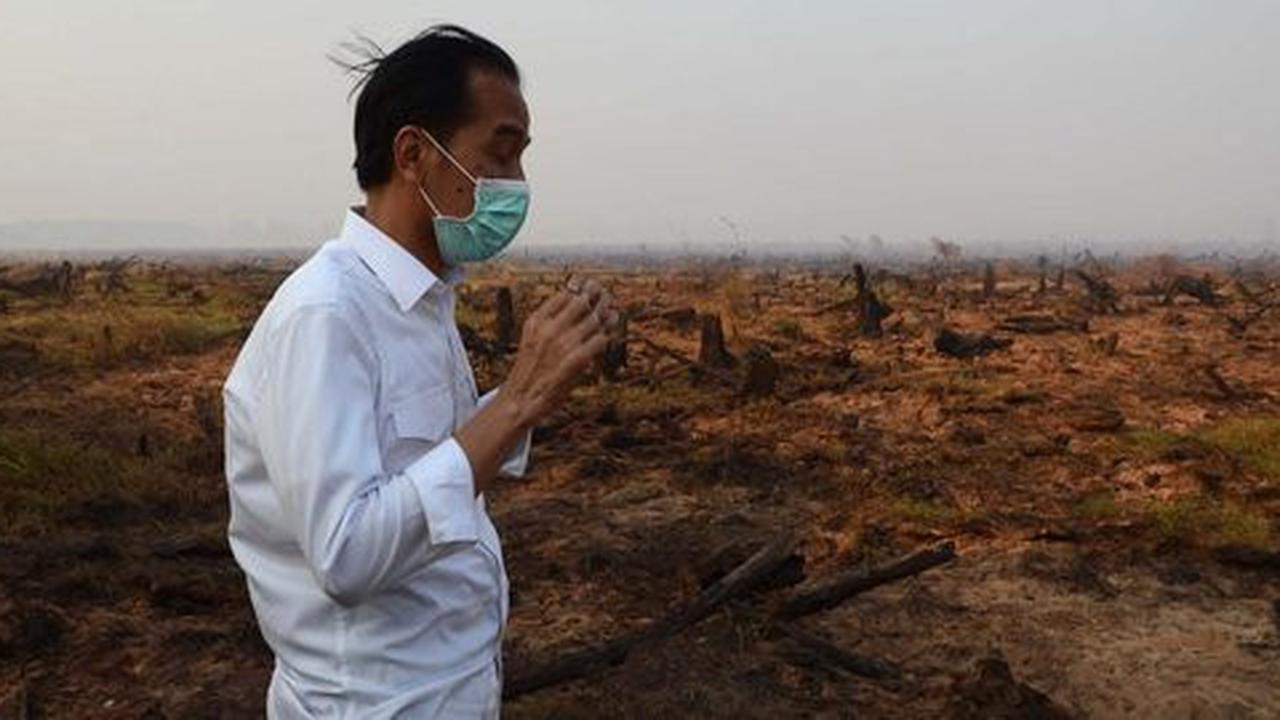 Presiden Jokowi siapkan 3 hal agar pembakar hutan jera