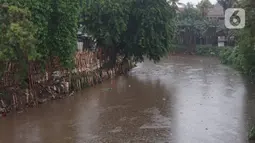 Suasana aliran Sungai Ciliwung di kawasan Rawajati, Jakarta, Selasa (17/12/2019). Hujan deras yang mengguyur Jakarta sejak siang menyebabkan debit air Sungai Ciliwung mulai mengalami kenaikan, namun masih terpantau normal. (Liputan6.com/Immanuel Antonius)