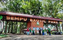 5 Fakta Unik Desa Wisata Sempu Kediri, Panen Nanas dan Durian di Kebun hingga Kenduri di Jalan Raya