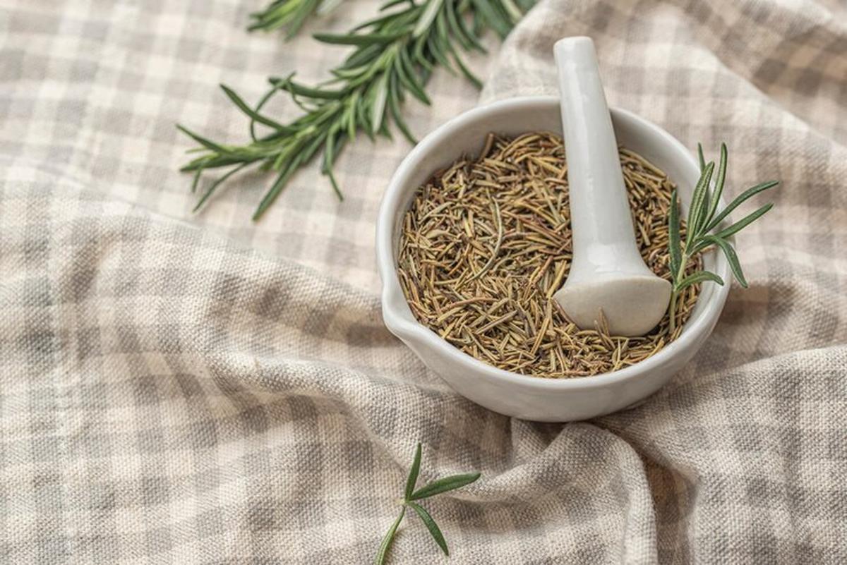 Oregano