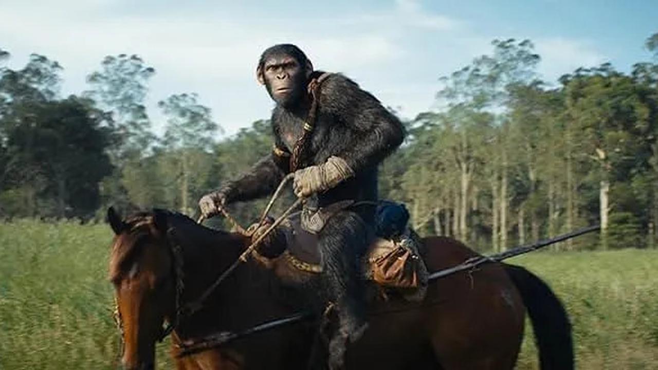 Rekomendasi Film Action di Tahun 2025 yang Paling Populer, Sayang untuk Dilewatkan