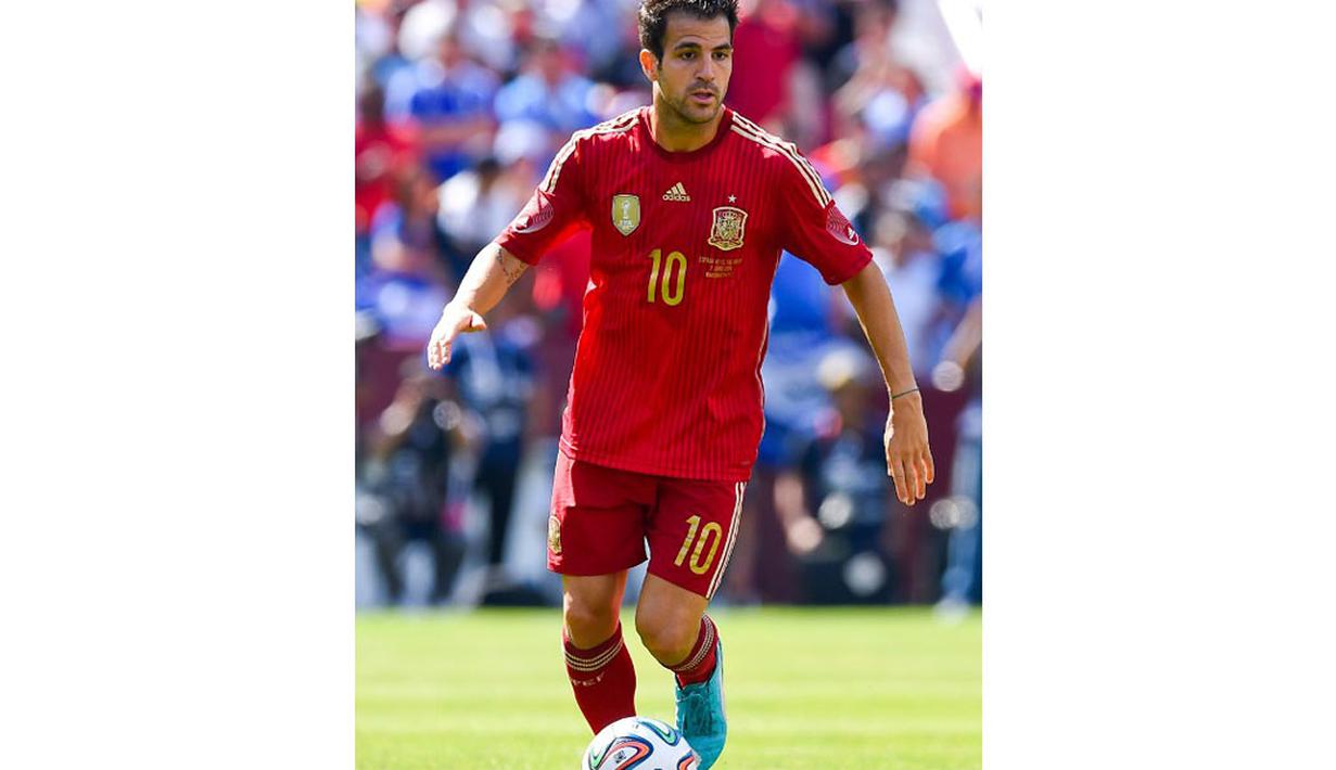 Karier sepak bola Cesc Fabregas kian melesat dan pemain berusia 27 tahun itu dipercaya pelatih Vicente Del Bosque untuk membela Spanyol di Piala Dunia 2014 Brasil, (13/6/2014). (AFP PHOTO/David Ramos) 