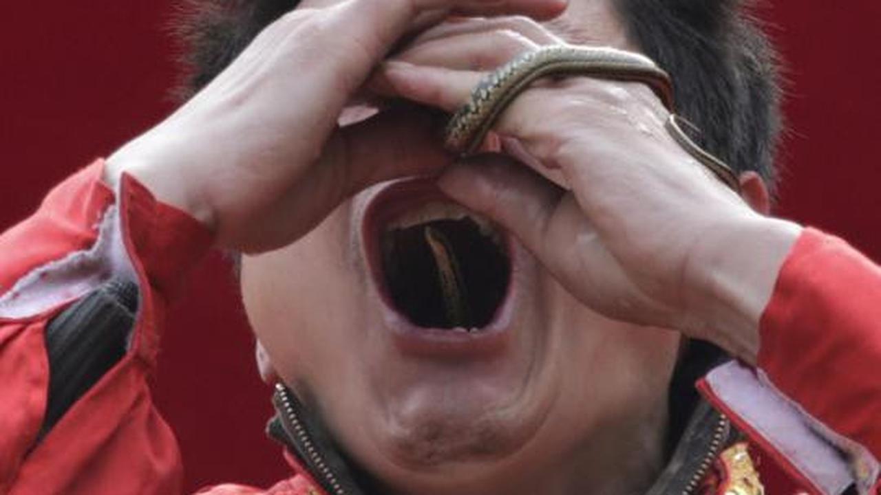 Atraksi nekat, pria ini memasukkan ular hidup melalui hidung