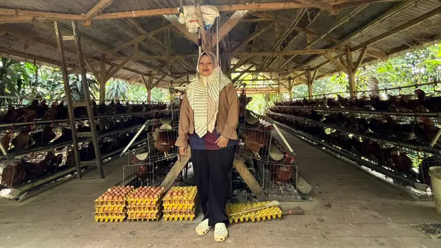 Pemilik Usaha Ayam Petelur di Cibodas, Nahtadia (28)