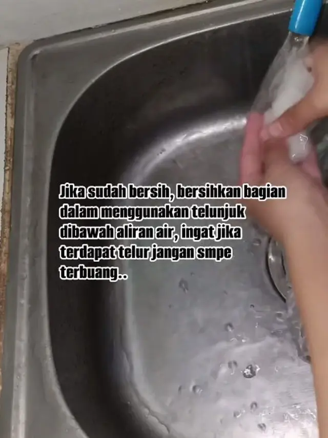 Cara Bersihkan Cumi Agar Tidak Bau Amis Tanpa Jeruk Nipis