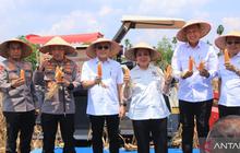 Fakta Unik: Kapolri Turun Langsung, 751 Ribu Ton Panen Raya Jagung Nasional Dukung Ketahanan Pangan