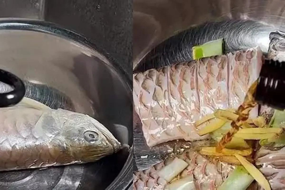 Makan Ikan Arwana Rp 22 Juta