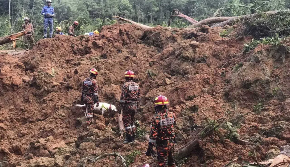 Tim penyelamat bekerja di sebuah perkemahan setelah tanah longsor, di Batang Kali, negara bagian Selangor, di pinggiran Kuala Lumpur, Malaysia, 16 Desember 2022. Longsor Jumat, 16 Desember 2022, di sebuah perkemahan wisata di Malaysia menyebabkan lebih dari selusin orang tewas dan pihak berwenang mengatakan belasan orang lainnya dikhawatirkan terkubur di lokasi di sebuah pertanian organik di luar ibu kota Kuala Lumpur. (Korporat JBPM via AP)