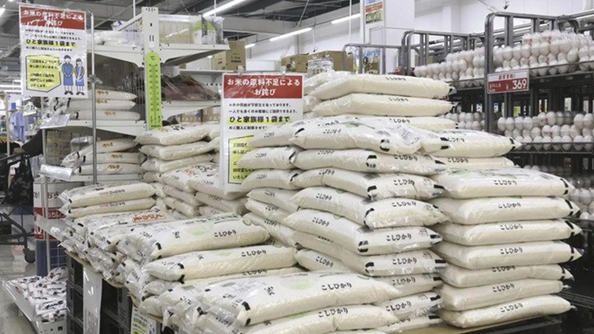 Menteri Pertanian Jepang Mundur Gara-gara Bilang Tidak Pernah Beli Beras