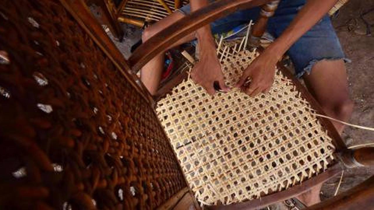 Pemerintah akan bentuk koperasi rotan
