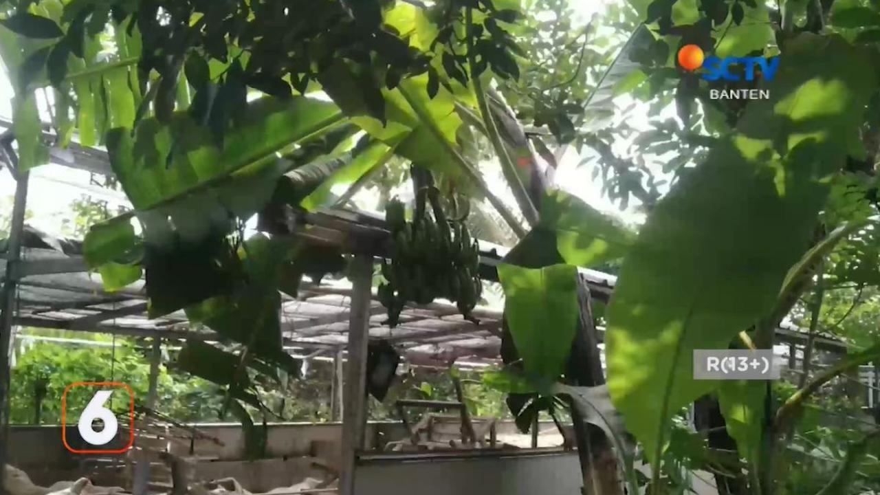 Viral di Media Sosial