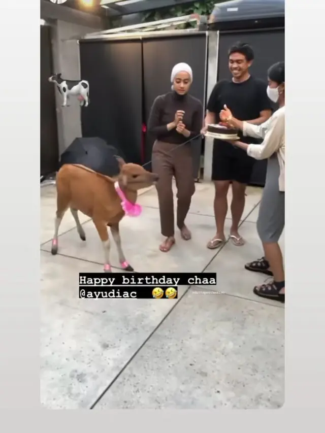 7 Momen Ulang Tahun Ayudia Bing Slamet, Bahagia Dapat Kado Anak Sapi dari Suami