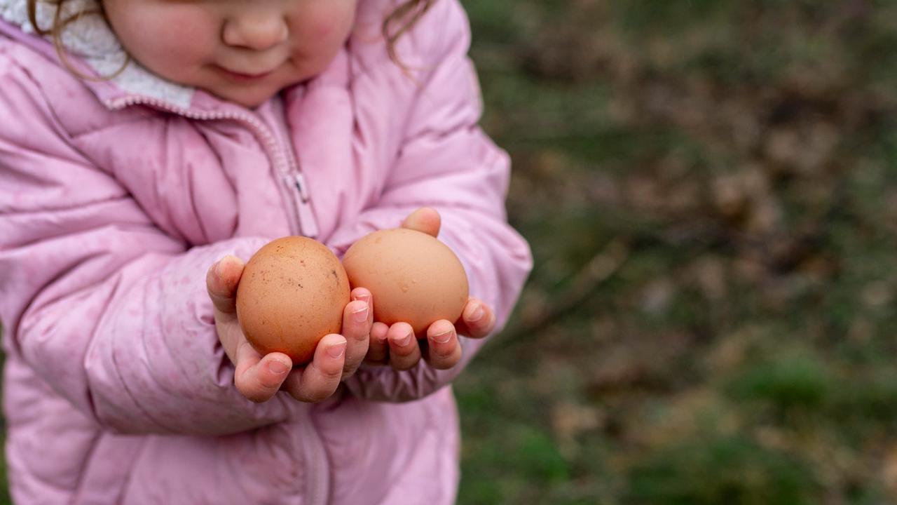 Tak Hanya dari Susu! Ini Deretan Makanan dan Minuman Tinggi Kalsium yang Bantu Pertumbuhan Anak Lebih Optimal