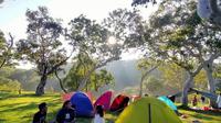 Pendaki sedang kemping di Gunung Lakaan. (Dok: @inhamanu https://www.instagram.com/inhamanu?igsh=aGhuZnA1ODk5eTA4)