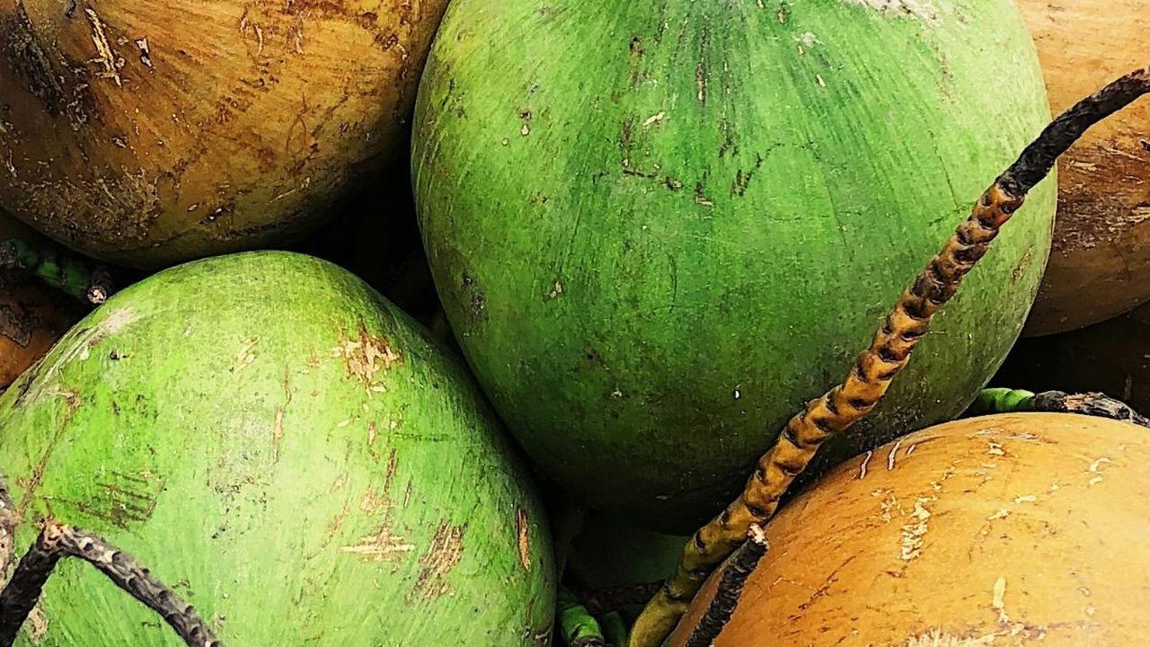 <b>Mitos Kelapa Kuning</b>