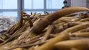 Sejumlah gading gajah sitaan diperlihatkan oleh Bea Cukai Hong Kong, Kamis (6/7).  Gading-gading dengan total berat 7,2 ton itu ditemukan tersembunyi di bawah tumpukan ikan beku. (AP Photo/Kin Cheung)