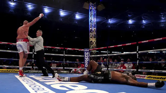 Tyson Fury - Tinju