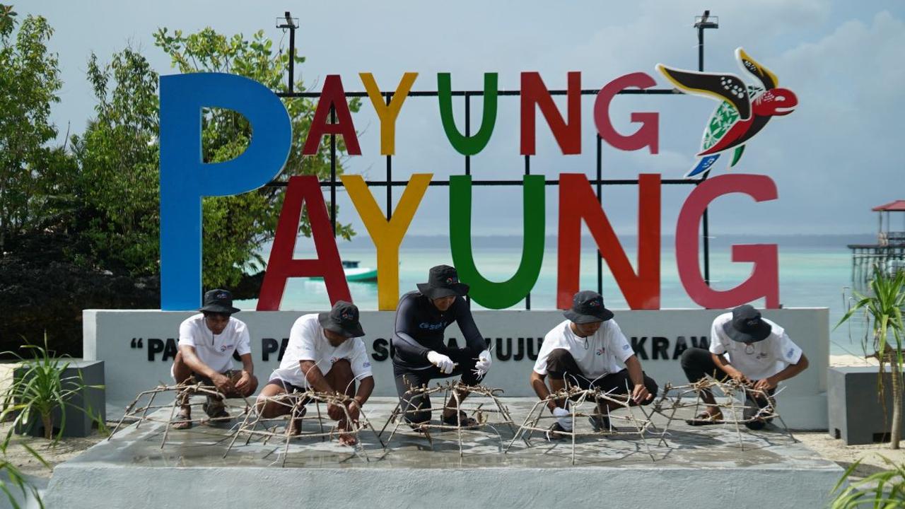 <b>Sebanyak 600 pcs fragmen karang ditanam di Pulau Maratua.</b>