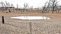 Ilustrasi Liputan Khusus El Nino