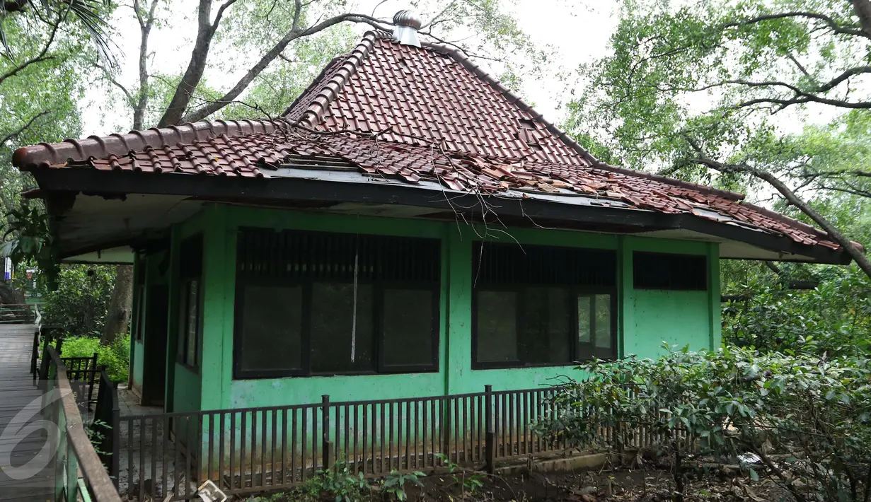 Kondisi bangunan di Suaka Marga Satwa Muara Angke Balai Konservasi Sumber Daya Alam DKI Jakarta, (18/3).Kawasan seluas 25,02 hektar tampak tak terurus dan terbengkalai. (Liputan6.com/Gempur  M Surya)