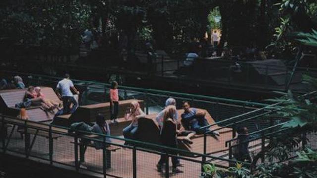 Wisata Baru Kekinian Di Bandung Hutan Kota Babakan