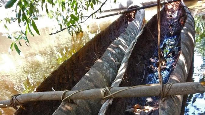 Sebuah pohon palem yang digali menajdi kano di wilayah pribumi Vale do Javari, hutan Amazon, Brasil, Megara Bagian Amazonas. (Foto:  Adam Mol/National Indian Foundation via AFP)