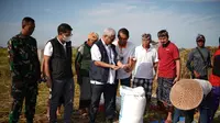 Direktur SDM dan Umum Perum BULOG, turun langsung ke Desa Bengkel, Tabanan, Bali, untuk memastikan proses penyerapan berjalan dengan baik.