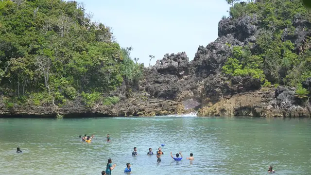 Tumbuhan Asing Berbahaya Ditemukan di Pulau Sempu