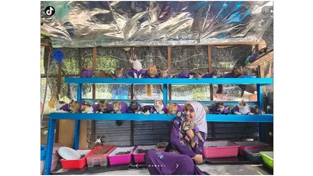 Wanita Ini Pakai Baju Lebaran Kembaran dengan 61 Kucingnya, Meriah Banget