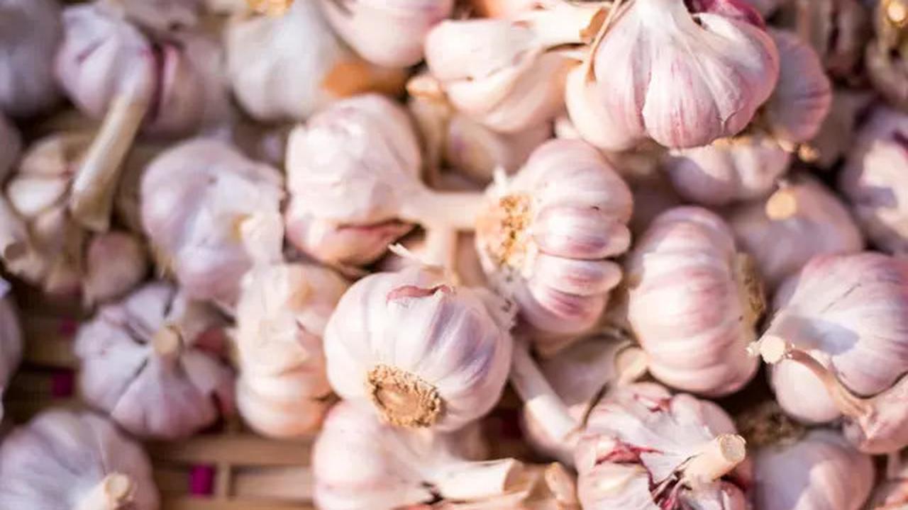 5 Bumbu Dapur yang Bisa Jadi Obat Alami untuk Berbagai Gejala Awal Sakit Tanpa Harus ke Dokter