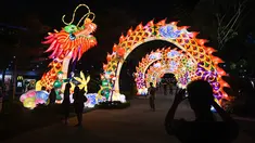 Pengunjung melihat lentera naga selama pratinjau media untuk Mid-Autumn Festival di Gardens by the Bay, Singapura, Selasa (27/8/2019). Festival ini sebagai penanda berakhirnya panen musim gugur, atau Mid-Autumn sekaligus merupakan momen untuk memanjatkan syukur kepada dewa-dewi. (Roslan RAHMAN/AFP)