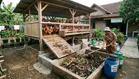 Cara Memanfaatkan Lahan Bawah Kandang Ayam, Optimalkan Sudut Peternakan