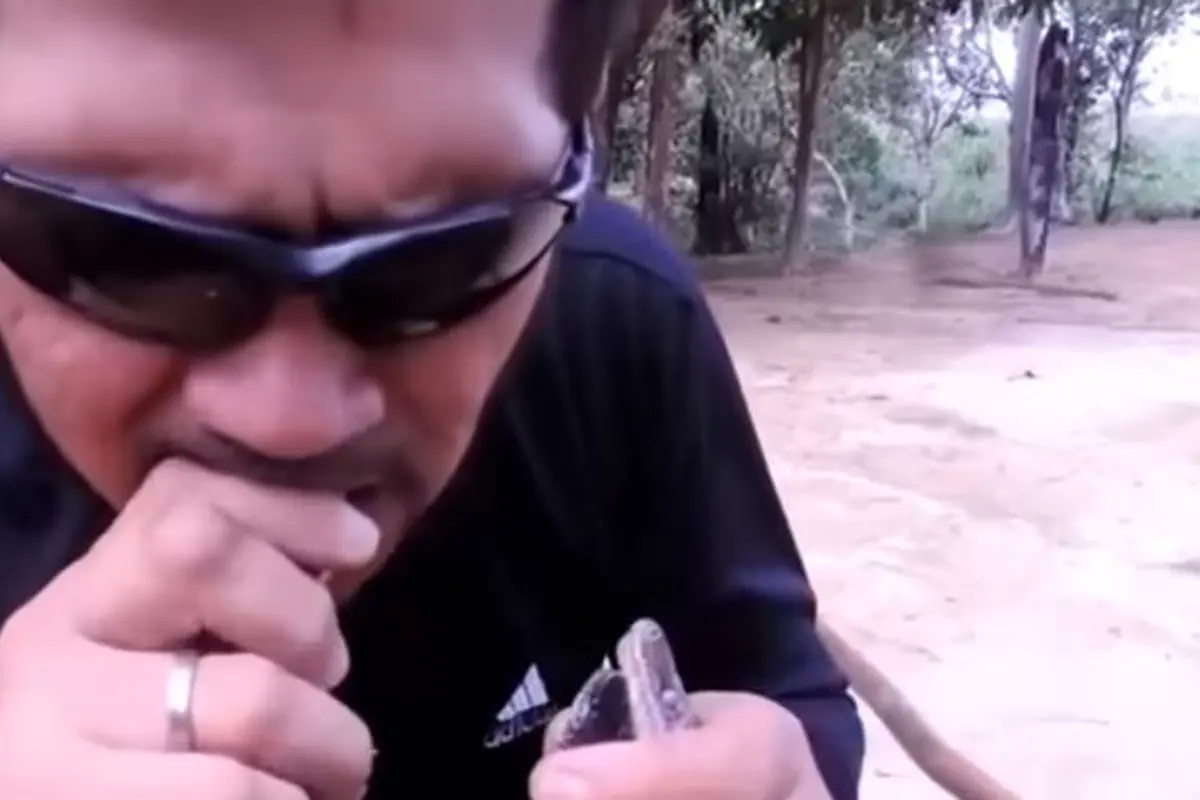 Tolak Aksi Penebangan Hutan, Pria Ini Masukkan 4 Ular ke Mulutnya