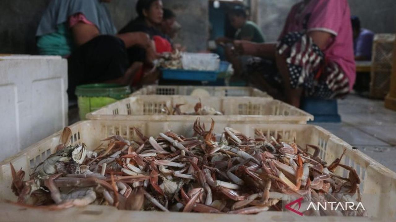 KKP Perketat Pengawasan Mutu Produk Perikanan Jelang Ramadan 2026