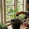 4 Cara Membuat Pupuk untuk Terong dari Ampas Kopi, Mudah dan Hemat