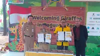 Ahok: Dirgah dan Ayuri 70, Jerapah Baru di Ragunan