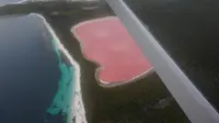 Warna merah muda yang pekat menutupi seluruh permukaan air Lake Hiller di Middle Island, Australia Barat (Liputan6.com/Happy Ferdian)