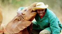 panti asuhan yang dibangun dan dikelola oleh African Wildlife Trust, memiliki tujuan utama yaitu untuk menyelamatkan gajah Afrika dari pembu