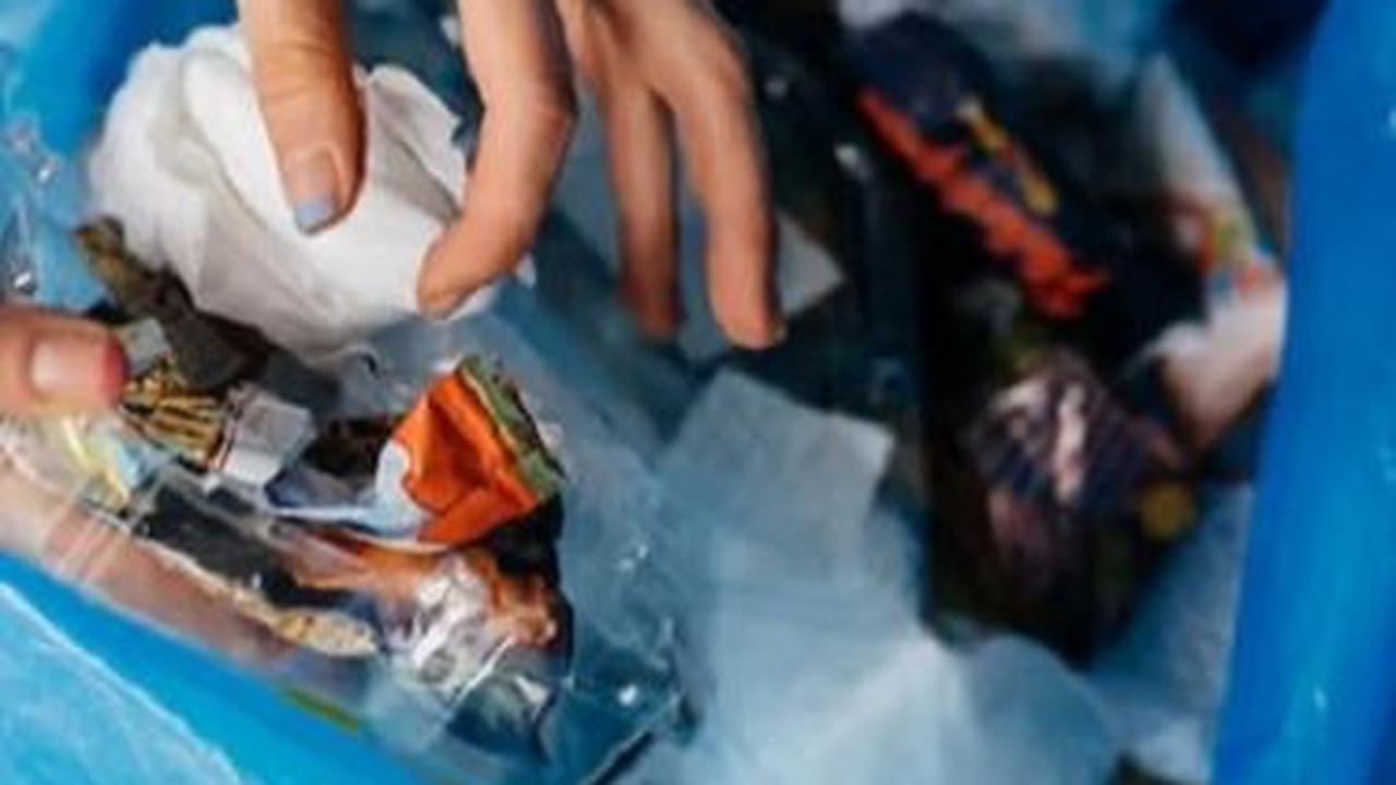 Cerita di Balik Kabupaten Banyumas Dinobatkan Daerah Pengelola Sampah Terbaik se-Asia Tenggara