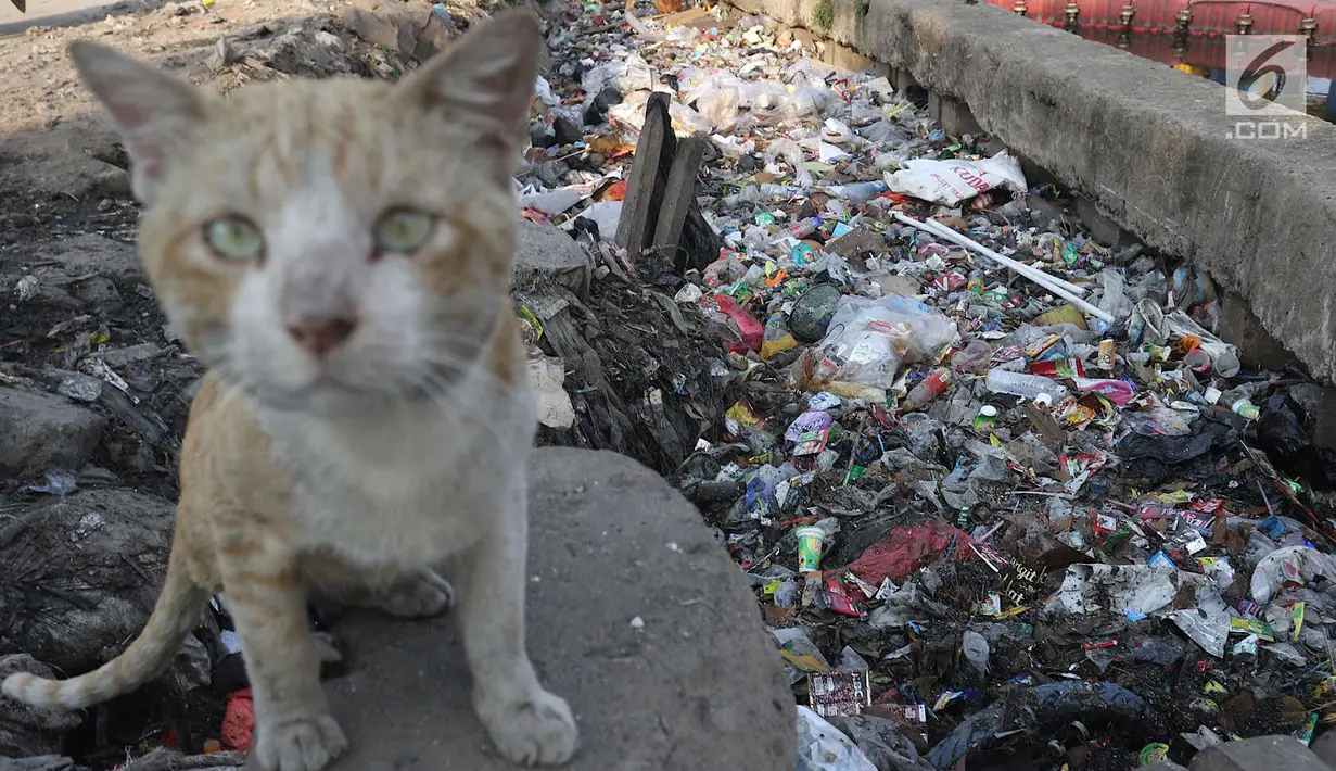 Sampah berserakan di sekitar pintu air Kali Item, Kemayoran, Jakarta, Selasa (2/10). Tidak tersedianya tempat pembuangan menyebabkan warga membuang sampah di lokasi tersebut sehingga menimbulkan bau tidak sedap. (Liputan6.com/Immanuel Antonius)