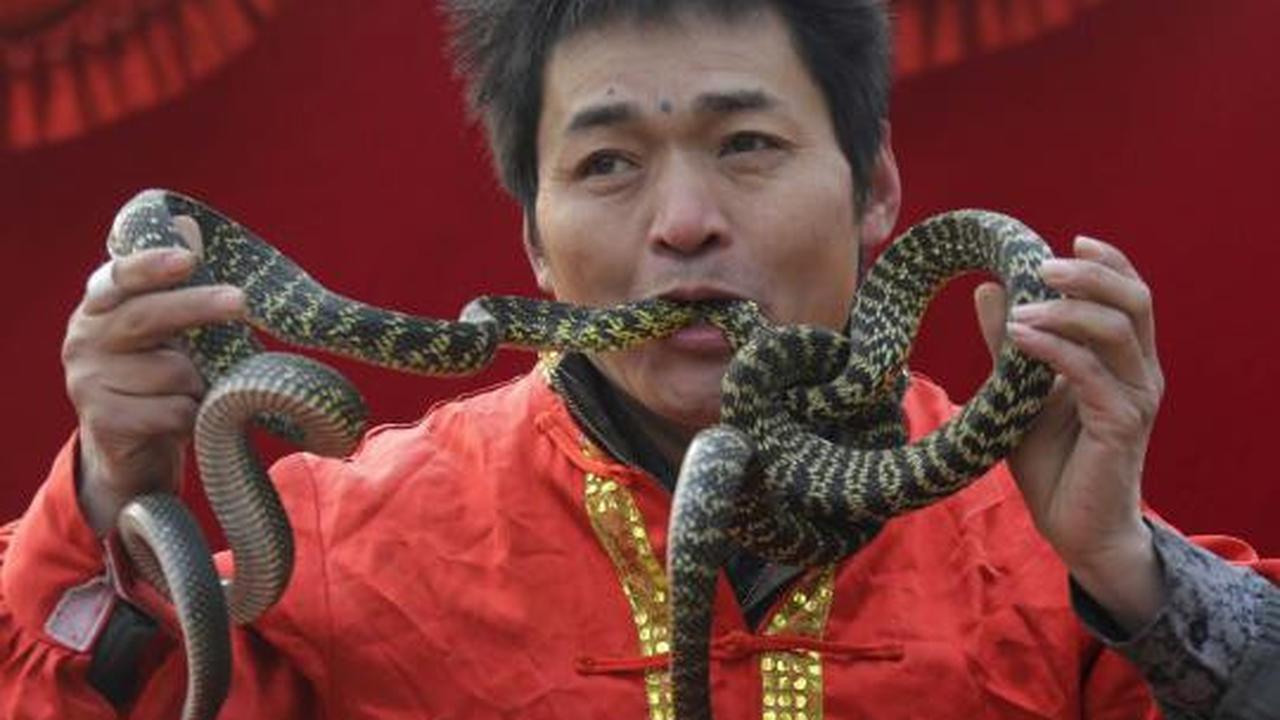 Atraksi berbahaya sambut tahun ular di China