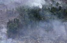 Pantauan satelit ungkap hotspot di Jambi kedalaman 9 meter