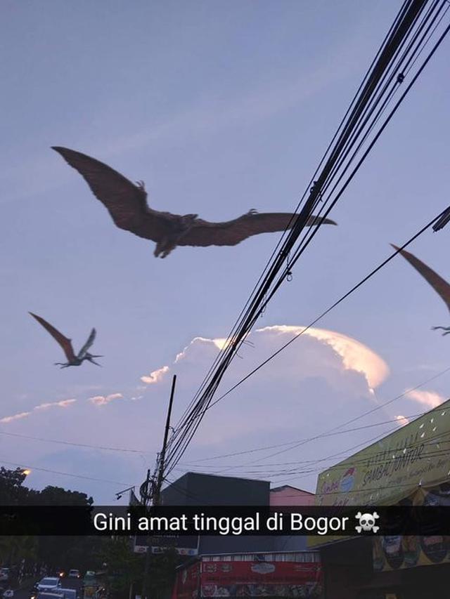 6 Editan Foto Jika Manusia Tinggal Bareng Dinosaurus Ini Kocak